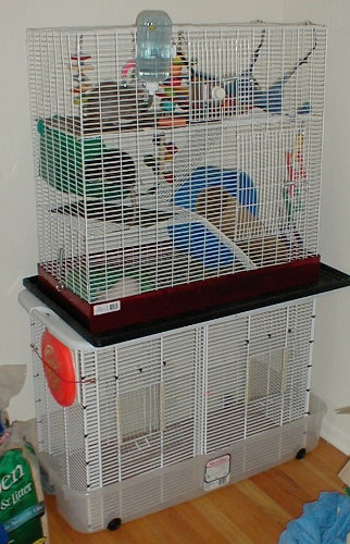cages2.jpg