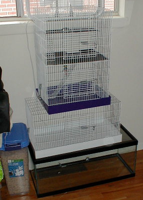 cages3.jpg